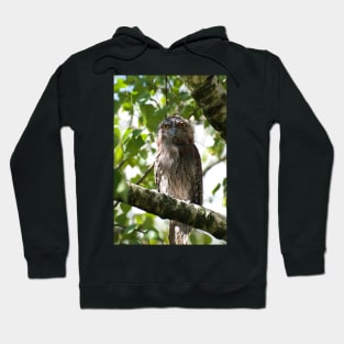 Tawny Visitor Hoodie